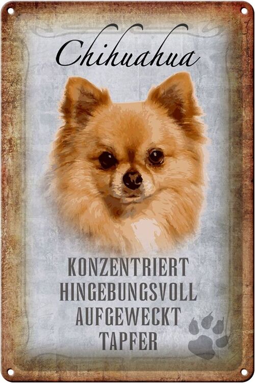 Blechschild Spruch 20x30cm Chihuahua Hund tapfer