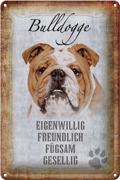 Blechschild Spruch 20x30cm Bulldogge Hund gesellig