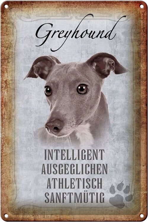 Blechschild Spruch 20x30cm Greyhound Hund