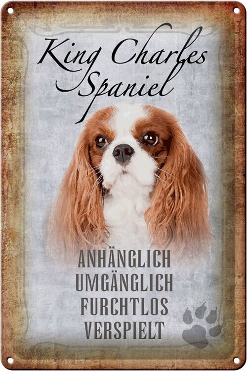 Blechschild Spruch 20x30cm King Charles Spaniel Hund