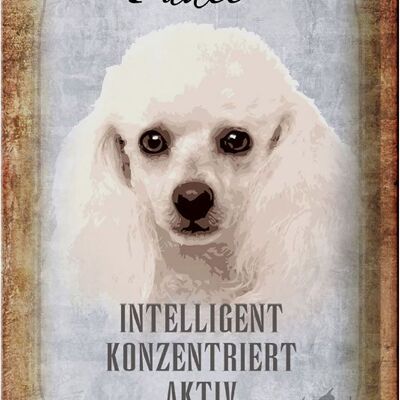 Blechschild Spruch 20x30cm Pudel Hund aktiv