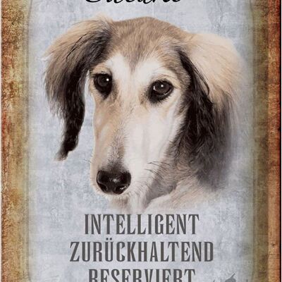 Cartel de chapa que dice 20x30cm Saluki perro tranquilo