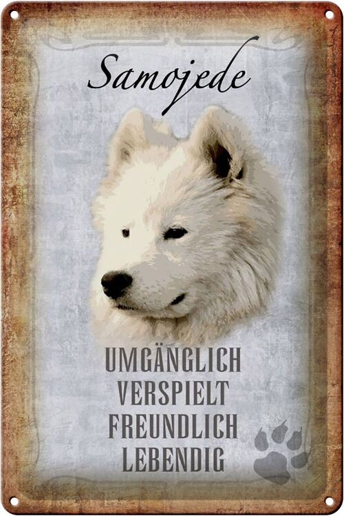 Blechschild Spruch 20x30cm Samojede Hund