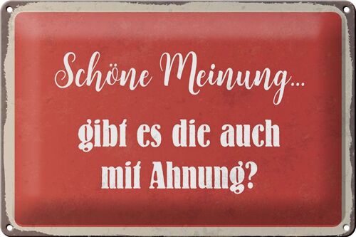 Blechschild Spruch 30x20cm schöne Meinung gibt mit Ahnung