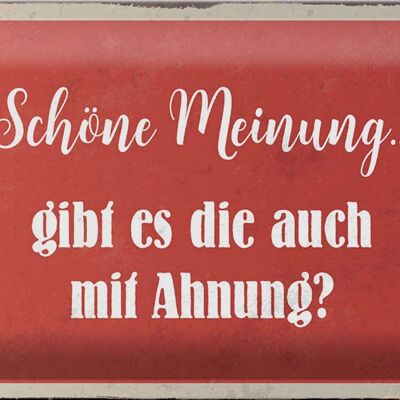 Blechschild Spruch 30x20cm schöne Meinung gibt mit Ahnung