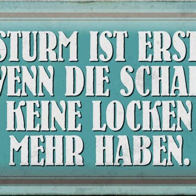 Blechschild Spruch 30x20cm Sturm wenn Schafe keine Locken