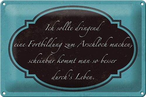 Blechschild Spruch 30x20cm ich Fortbildung zum Arschloch