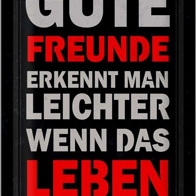 Blechschild Spruch 20x30cm gute Freunde erkennt man