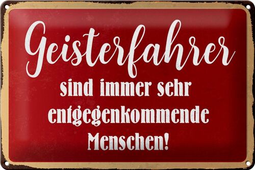 Blechschild Spruch 30x20cm Geisterfahrer sind Menschen