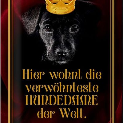 Blechschild Spruch 20x30cm hier wohnt Hundedame der Welt