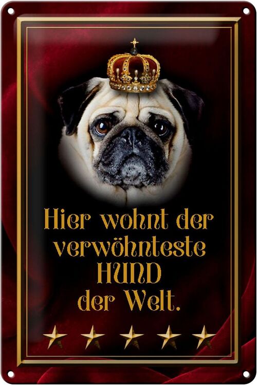 Blechschild Spruch 20x30cm hier wohnt Hund der Welt