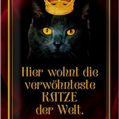 Blechschild Spruch 20x30cm hier wohnt Katze der Welt