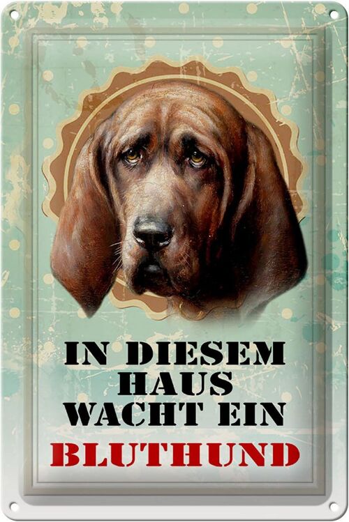 Blechschild Hund 20x30cm in diesem Haus wacht Bluthund