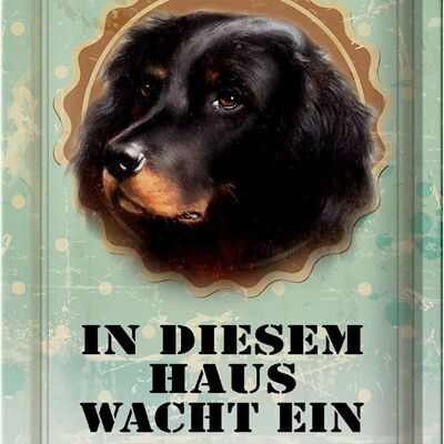 Blechschild Hund 20x30cm in diesem Haus wacht ein Setter