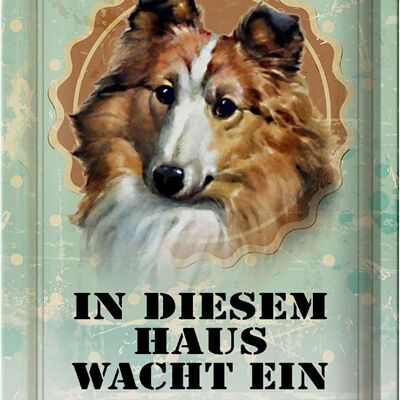 Blechschild Hund 20x30cm in diesem Haus wacht ein Collie