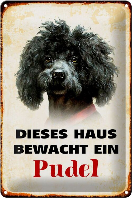 Blechschild Hund 20x30cm dieses Haus bewacht ein Pudel