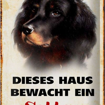 Blechschild Hund 20x30cm dieses Haus bewacht ein Setter