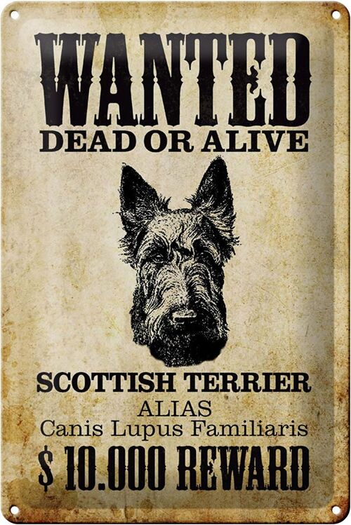 Blechschild Hund 20x30cm wanted Scottish Terrier