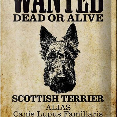Cartel de chapa perro 20x30cm se busca Terrier escocés