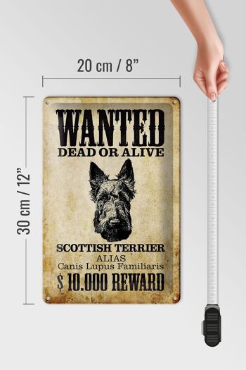 Plaque en tôle chien 20x30cm recherché Terrier écossais 4
