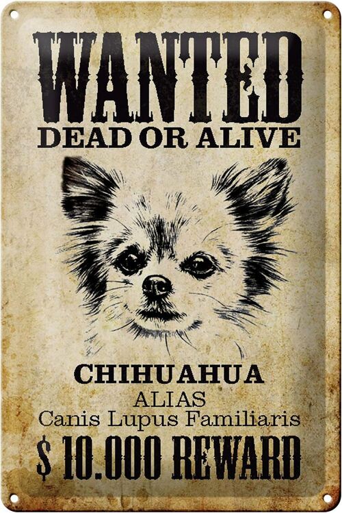 Blechschild Hund 20x30cm wanted Chihuahua Alias