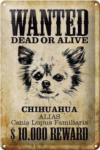 Plaque en tôle chien 20x30cm wanted Chihuahua Alias 1