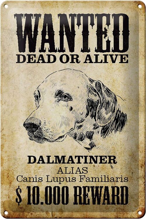 Blechschild Hund 20x30cm wanted dead Dalmatiner