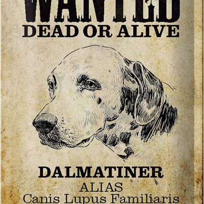 Cartel de chapa perro 20x30cm buscado dálmata muerto