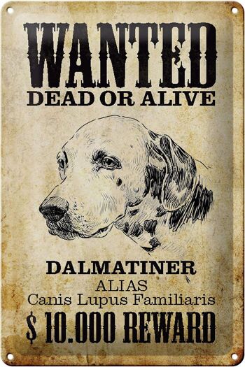 Plaque en tôle chien 20x30cm recherché Dalmatien mort 1
