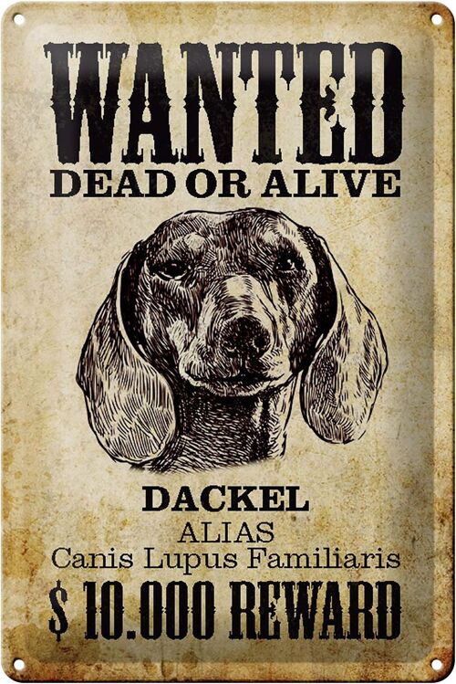 Blechschild Hund 20x30cm wanted dead Dackel Alias