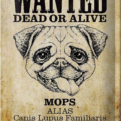 Blechschild Hund 20x30cm wanted dead Mops Alias