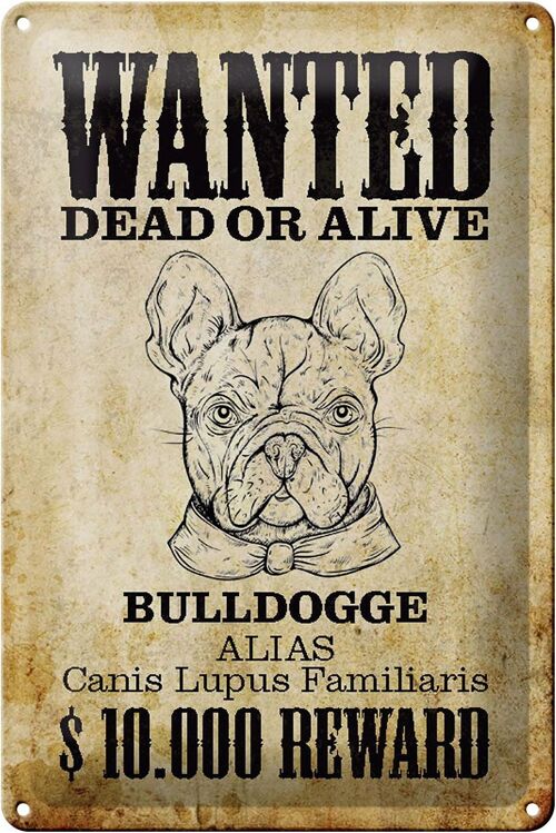 Blechschild Hund 20x30cm wanted dead Bulldogge Alias
