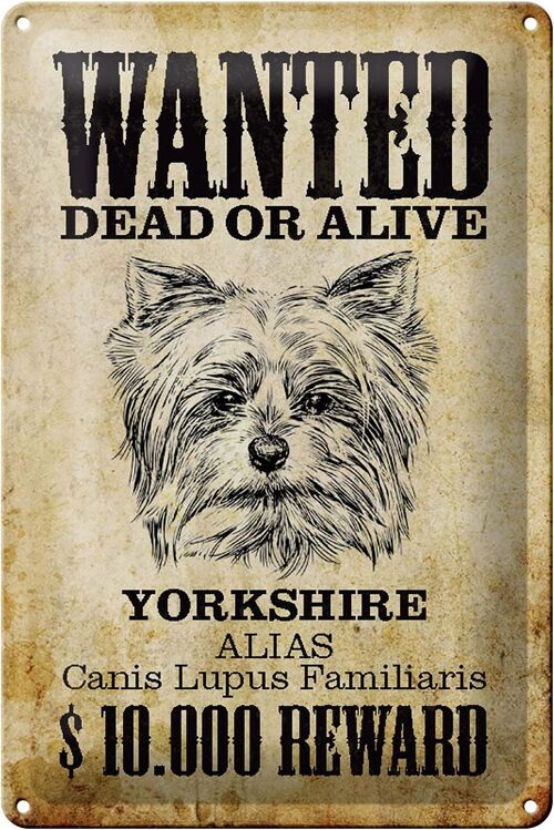 Blechschild Hund 20x30cm wanted dead Yorkshire