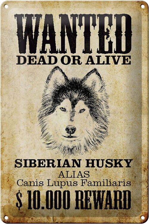 Blechschild Hund 20x30cm wanted Siberian Husky