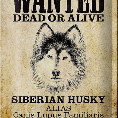 Metal sign dog 20x30cm wanted Siberian Husky