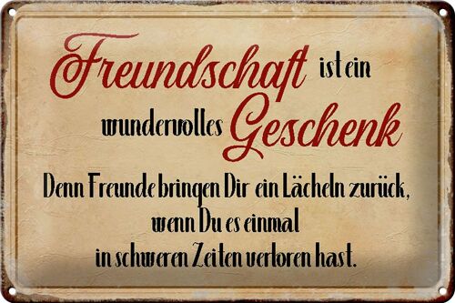 Blechschild Spruch 30x20cm Freundschaft ist ein