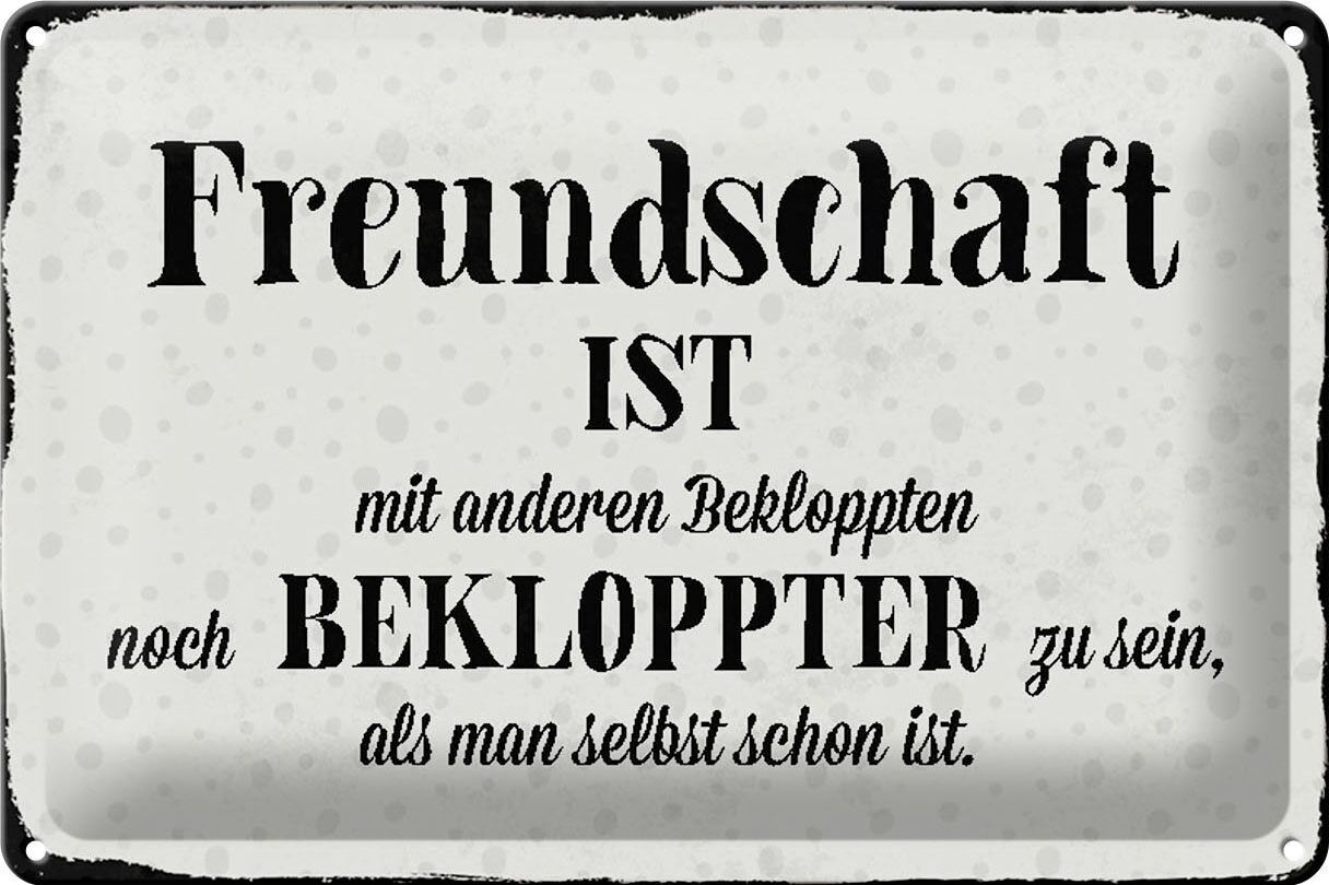 Blechschild Spruch 30x20cm Freundschaft ist bekloppter sein