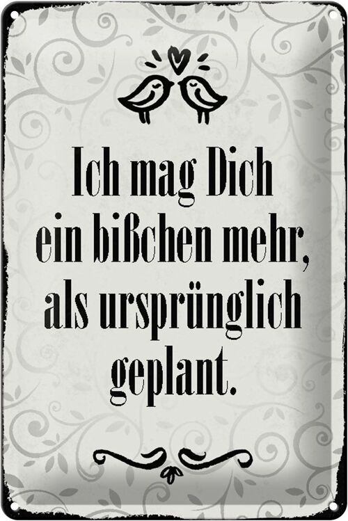 Blechschild Spruch 20x30cm ich mag dich ein bißchen mehr