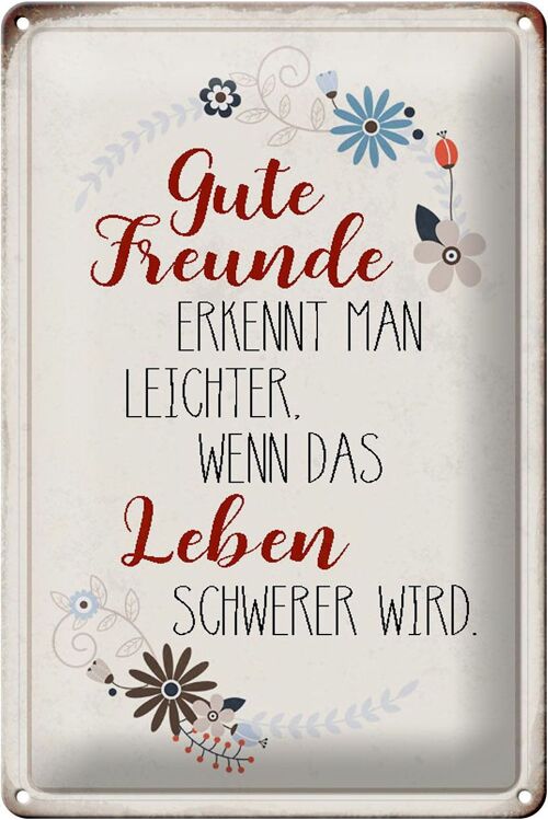 Blechschild Spruch 20x30cm gute Freunde erkennt