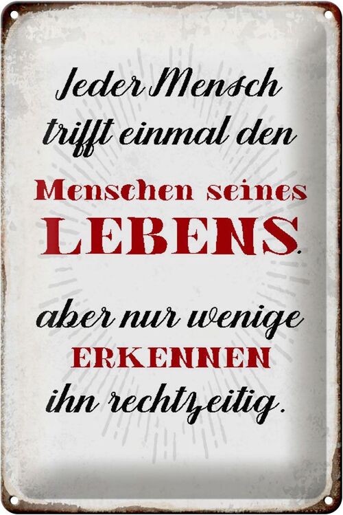 Blechschild Spruch 20x30cm jeder Mensch trifft einmal den