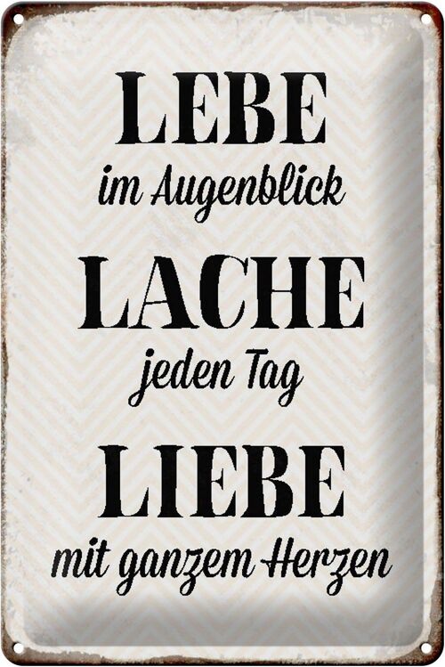 Blechschild Spruch 20x30cm Lebe Lache jeden Tag Liebe