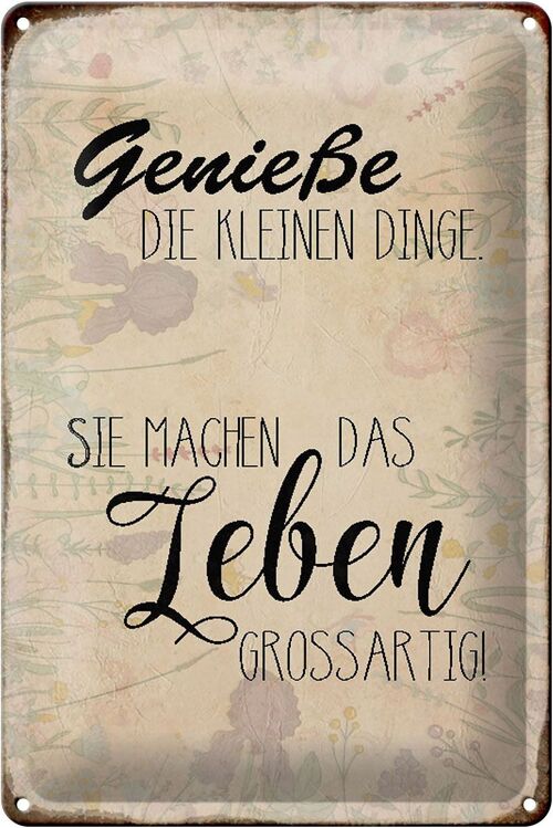 Blechschild Spruch 20x30cm genieße kleine Dinge Leben