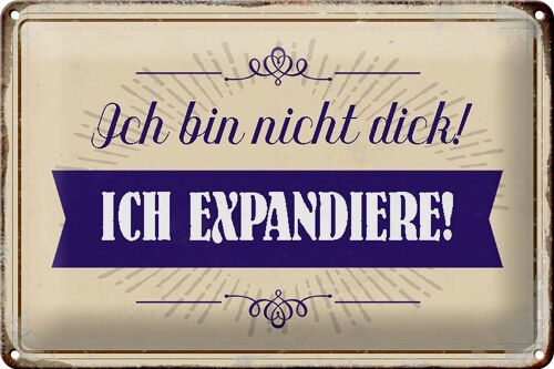 Blechschild Spruch 30x20cm bin nicht dick ich expandiere