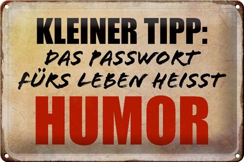 Blechschild Spruch 30x20cm kleiner Tipp das Passwort Humor