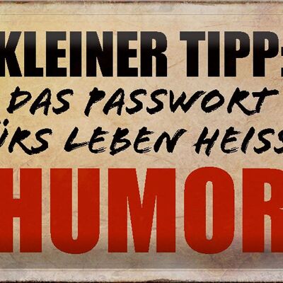 Blechschild Spruch 30x20cm kleiner Tipp das Passwort Humor