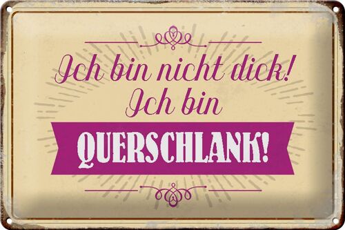 Blechschild Spruch 30x20cm bin nicht dick ich querschlank