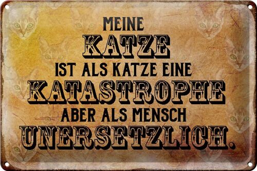 Blechschild Spruch 30x20cm meine Katze ist eine Katastrophe