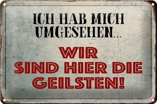 Blechschild Spruch 30x20cm wir sind die Geilsten