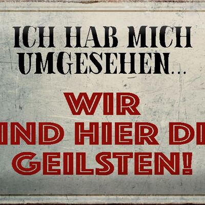 Blechschild Spruch 30x20cm wir sind die Geilsten