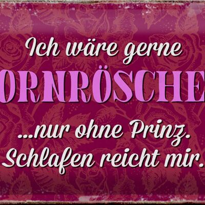 Blechschild Spruch 30x20cm ich gerne Dornröschen ohne Prinz